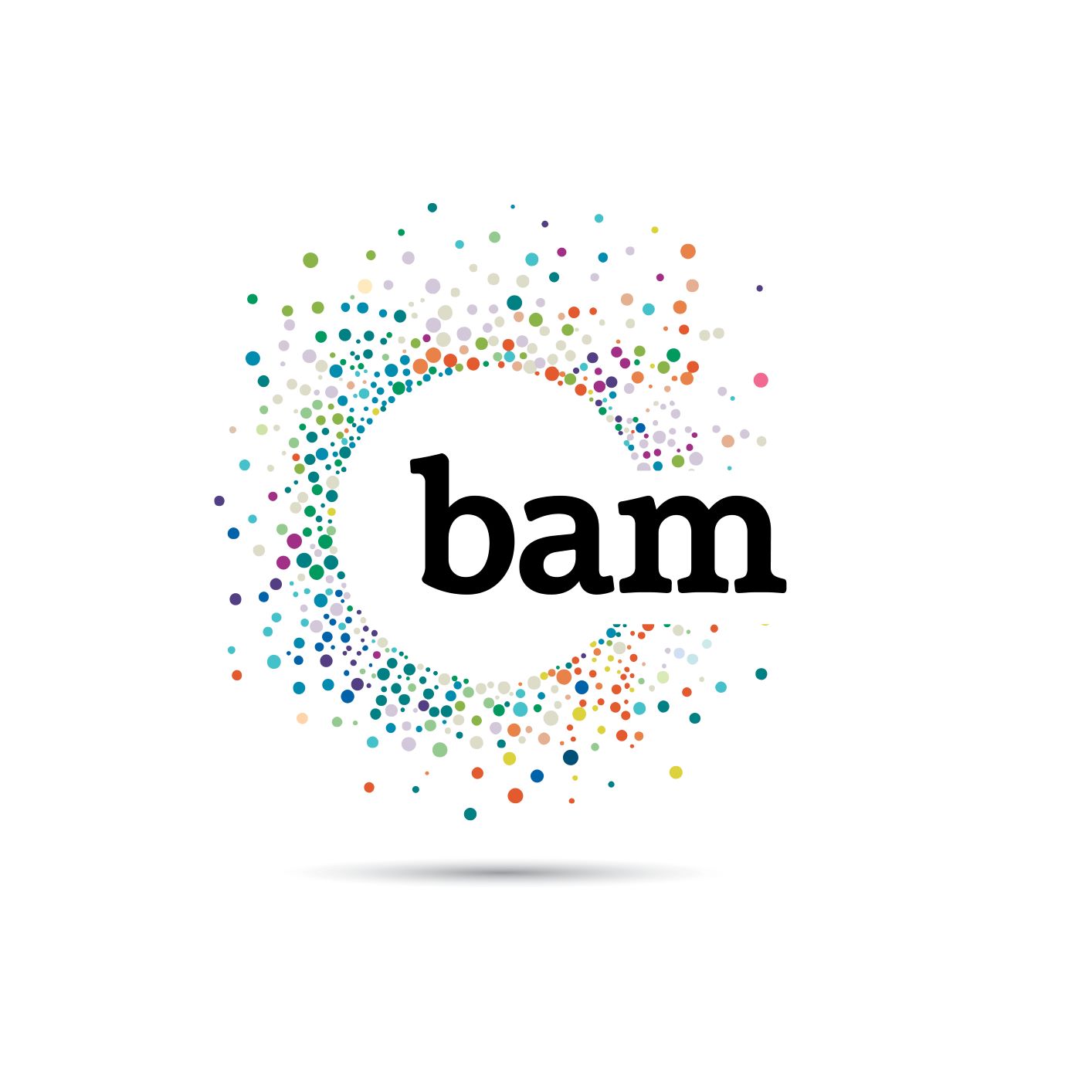BAM Logo Catalyst .jpg (94 KB)